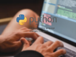 python-programowanie-historia-zarobki